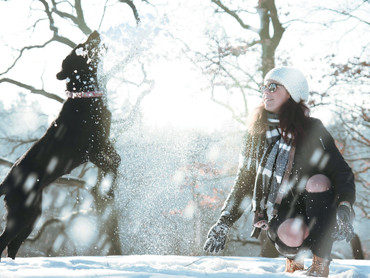 Hunde brauchen Sicherheit und Orientierung