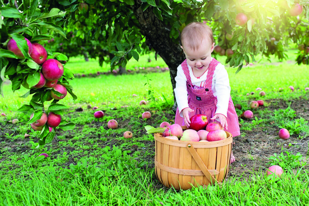 Bäume stärken Kinder: Naturerfahrungen als Schlüssel zur gesunden Entwicklung