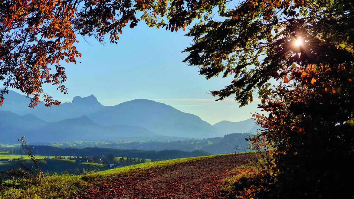 Unvergessliche Erlebnisse im Südlichen Allgäu