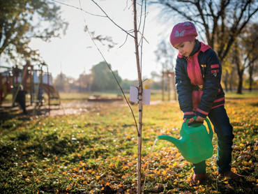 Herbstzeit ist Pflanzzeit: Tipps für den Garten