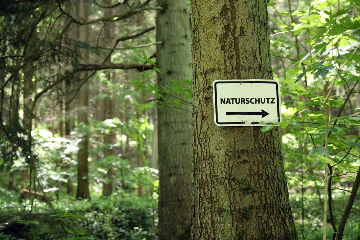 Naturschutz ist Menschenrecht BUND legt weiteren Schriftsatz zum IGH-Klima-Gutachten bei seiner laufenden Verfassungsbeschwerde vor