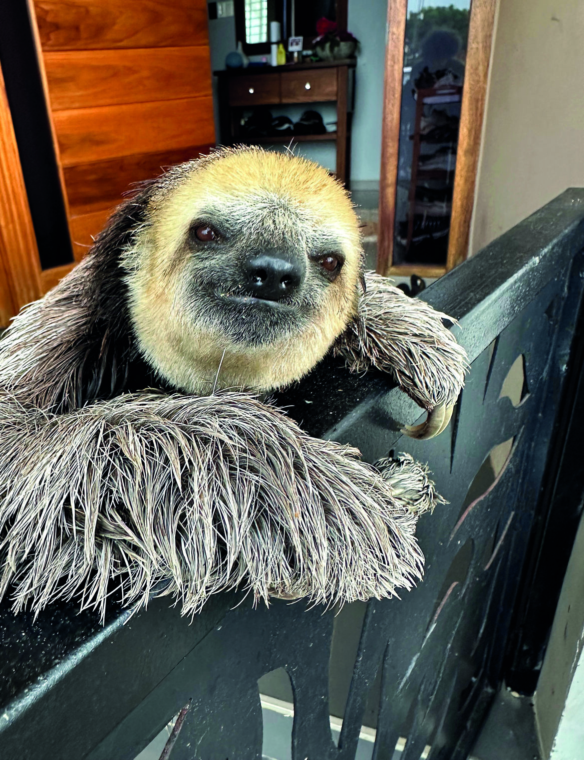 Geschenkideen für Tierfreund*innen