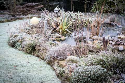 Den Gartenteich winterfest machen