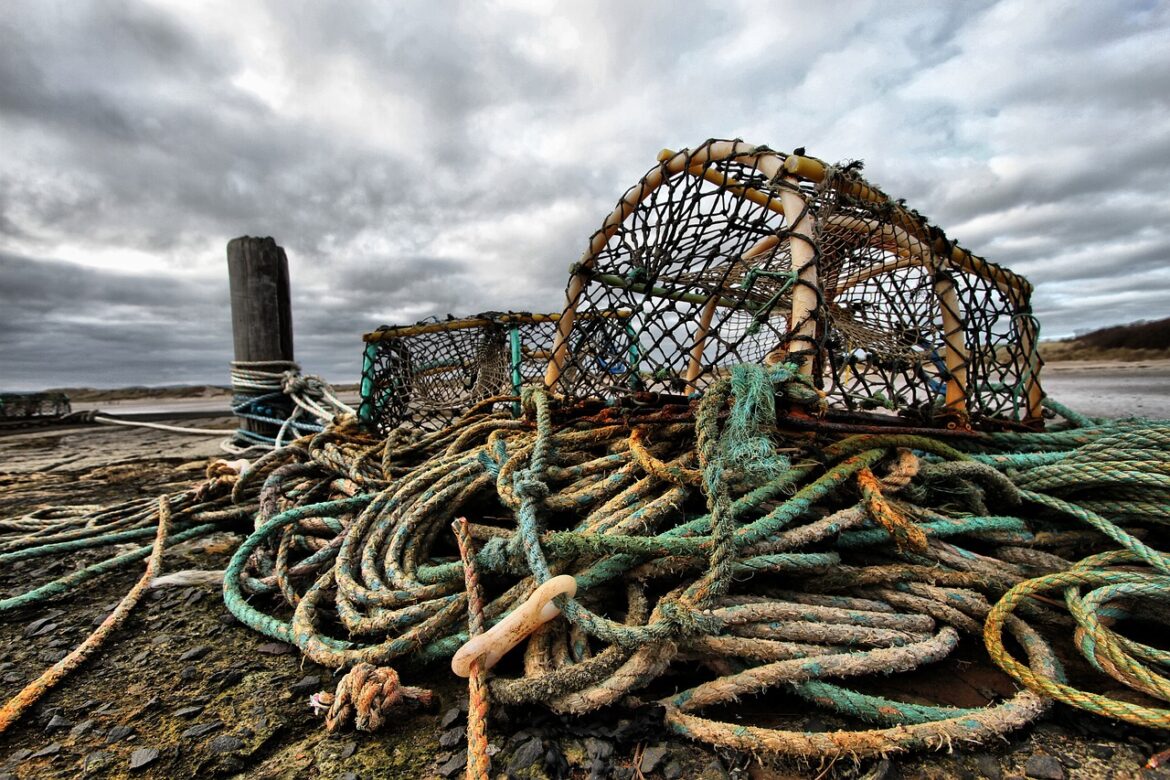 Deutsche Umwelthilfe zu Beschluss der Nordsee-Fischereiquoten 2026: „Chance für zukunftsfähige Fischereipolitik erneut verpasst“