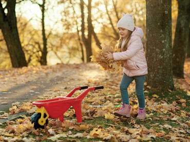 Hilfe für den Wald