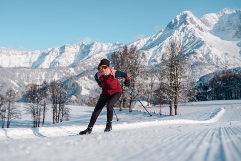 Der Wintervielfalt auf der Spur