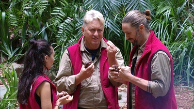 Tag 17 im Dschungel „Nicht sehen“, „Nicht hören“, „Nicht sprechen“: Wachsen Samira, Gil und Hubert in ihren Finalprüfungen über sich hinaus?