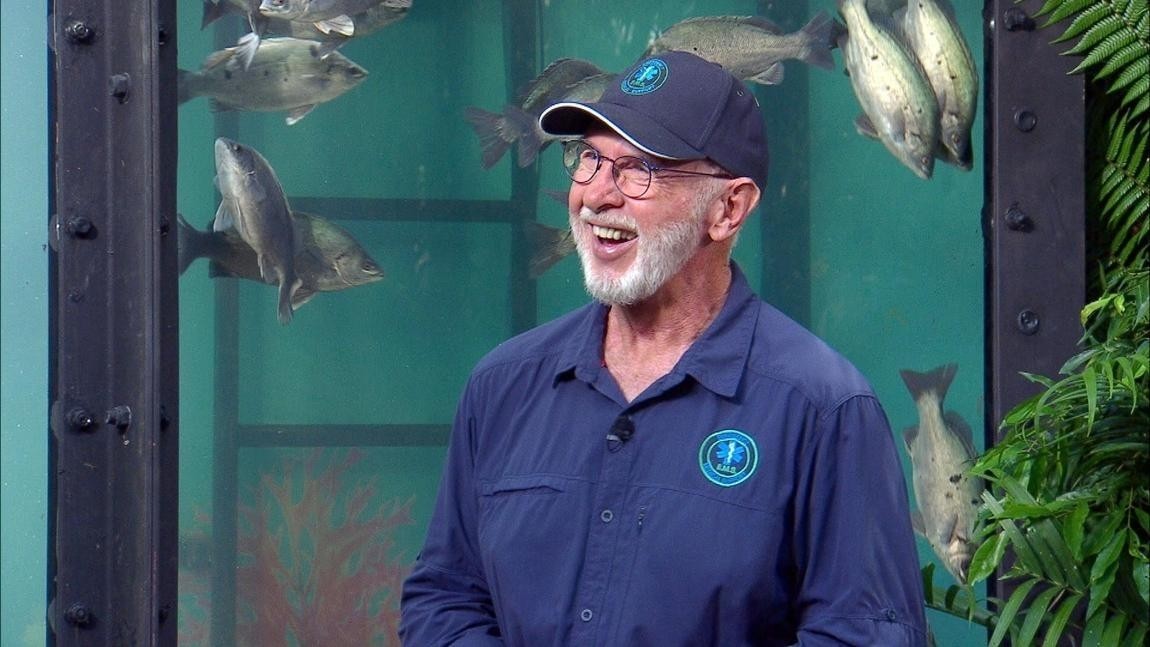 RTL-Dschungel räumt ab   IBES führt Primetime-Ranking an
