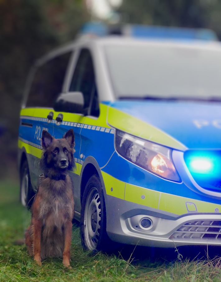 Hagen – Altenhagen: Einbrecher mithilfe von Polizeihubschrauber und Diensthund Turbo gefasst