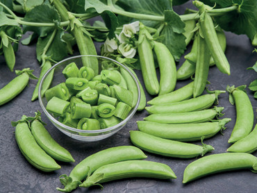 Powerproteine aus dem Garten – natürlich stark!