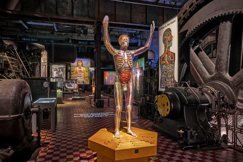 Die Macht des Röntgenblicks in Kunst und Wissenschaft