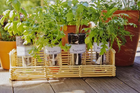 Nachhaltige Pflanzenetiketten für den Balkon