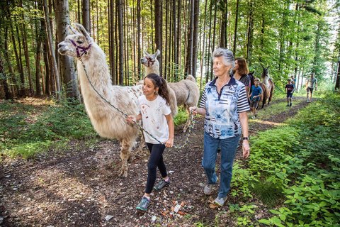 Tierische Abenteuer am Waginger See