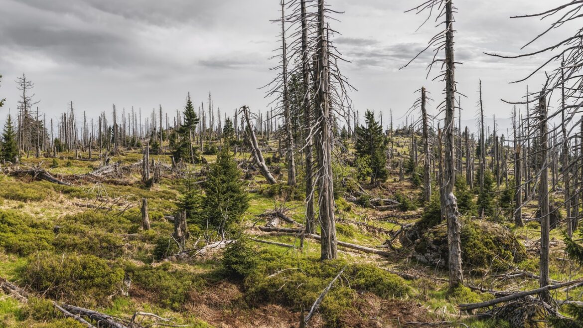 Klimawandel bremst die Erde: Tag-Verlängerung beispiellos seit 3,6 Millionen Jahren