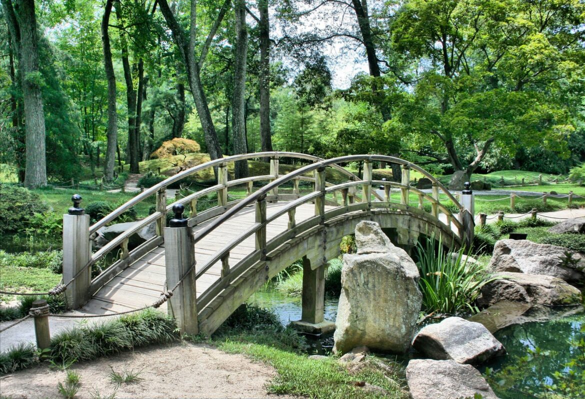 Start der Gartensaison! – So legen sie einen Naturgarten im Frühjahr an