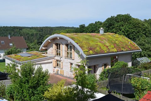Mehr Grün für Gebäude