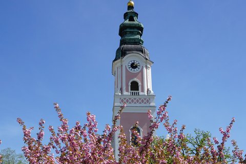 Radeln zwischen Apfelblüte und Asamkirche
