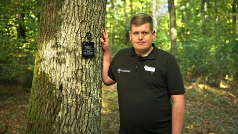 Ein Baum für immer