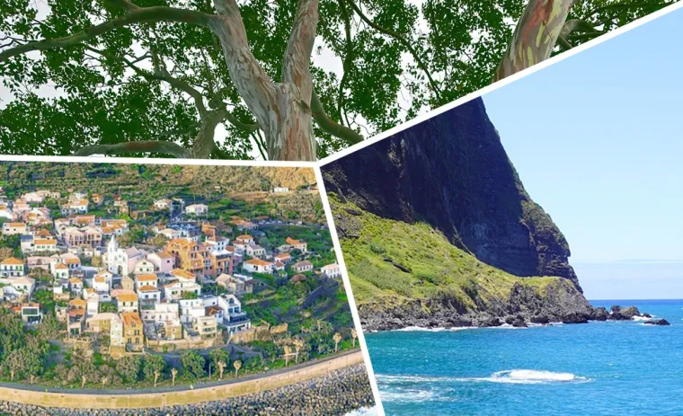 Madeira für die Ohren – Neue Audio-Spaziergänge bringen Inselmomente nach Hause