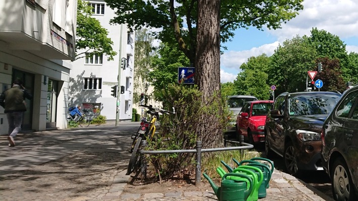 ++ Ökotipp | Baumscheiben bepflanzen: Je wilder desto besser| BUND „Baum-Woche“ ++