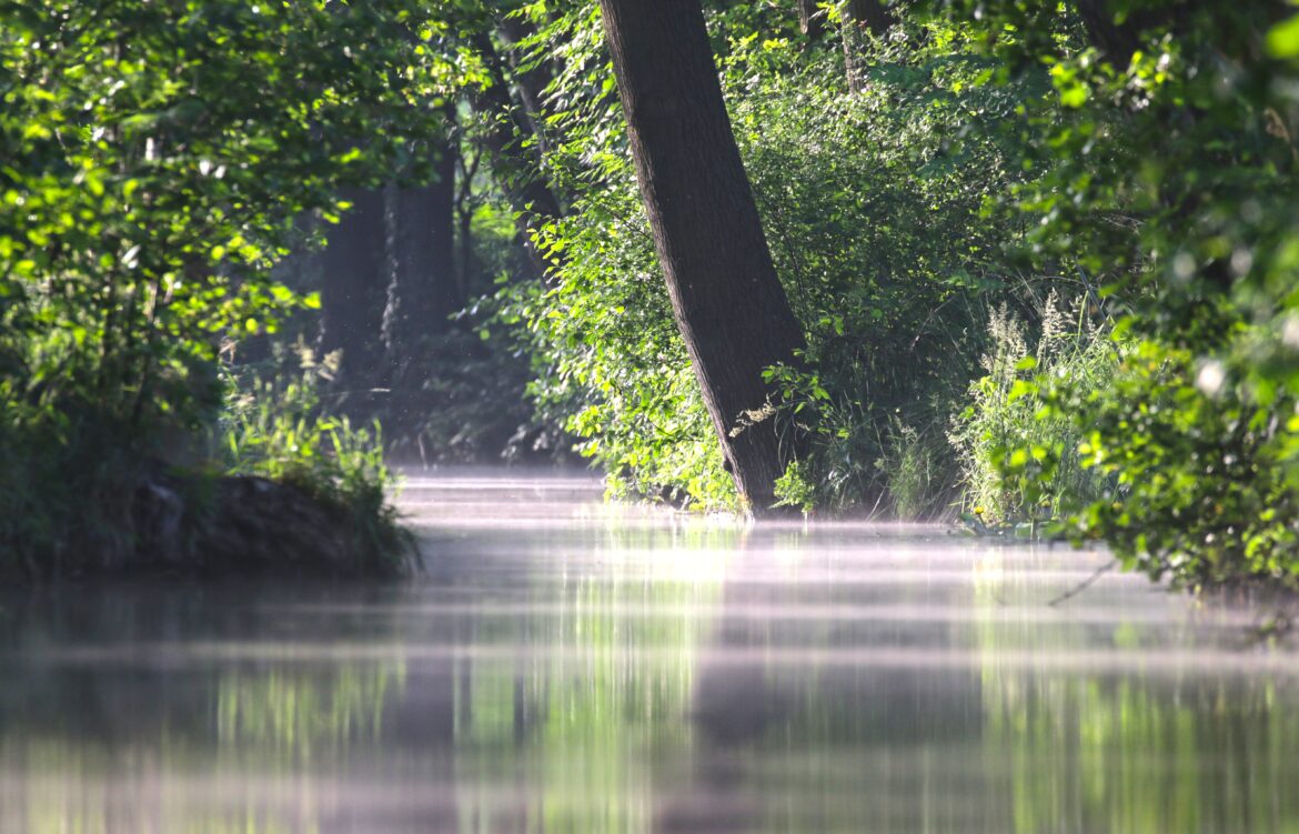 Ennepe-Ruhr-Kreis: Nicht zu fassen – Autowäsche im Fluss im Naturschutzgebiet