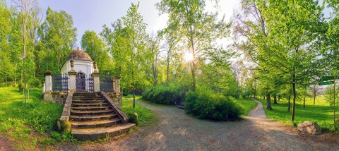 Grüne Geheimnisse am Stadtrand