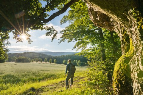 Mystische Abenteuer zwischen Wald und Fels