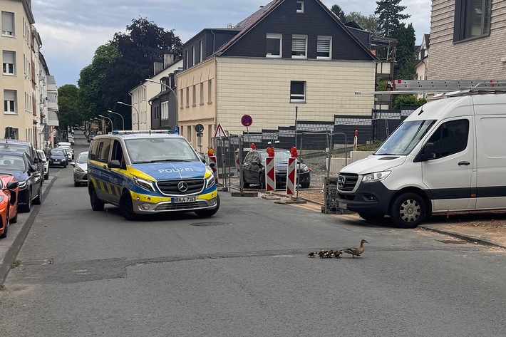 Hagen-Eilpe: Ungewöhnlicher Einsatz: Polizei rettet Entenfamilie