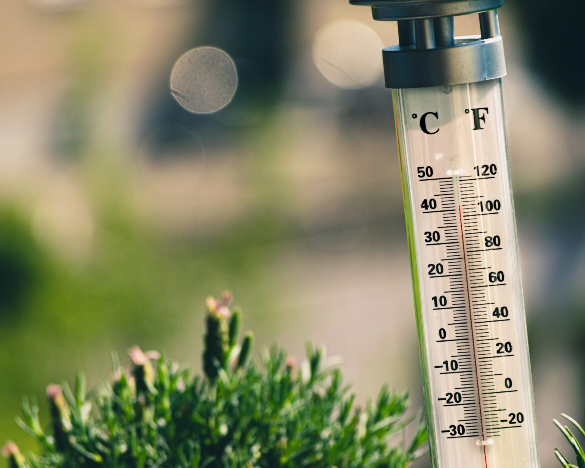 Rekordhitze in NRW: 40 Grad, Gesundheitsgefahr und Ausnahmezustand – Das Land kämpft gegen die extreme Hitzewelle