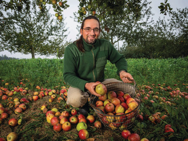Von der Streuobstwiese in die Flasche: Ein Schluck bayerische Tradition