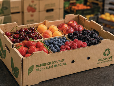 Obst sicher verpacken: Frische bewahren