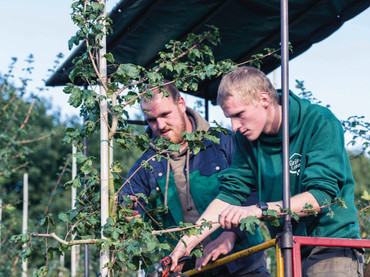 Ausbildung und Quereinstieg: Grün hat Zukunft