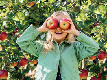 Ein Garten für kleine Entdecker: Natur erleben, spielen und wachsen