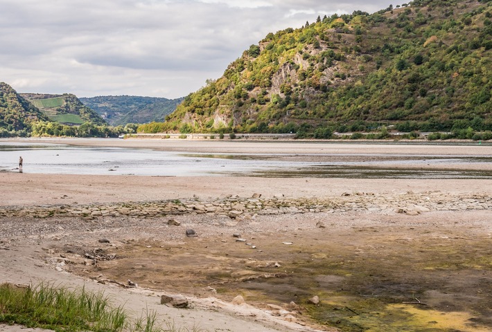 Dürre und Wassermangel: Wie Städte und Kommunen gegensteuern können