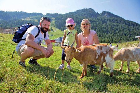 Wo Kinder willkommen sind