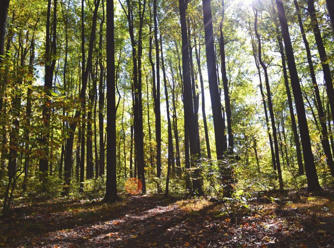 Sechste Station der Tour „Starke Zukunft in NRW: KI in Landwirtschaft und Wald“ von Ministerin Gorißen
