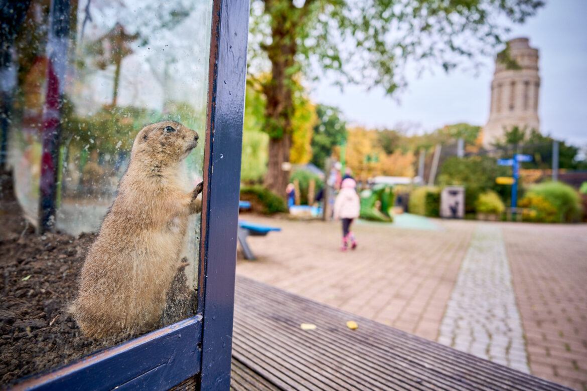 Volkshochschule Bochum: After-Work-Backstage-Tour im Bochumer Tierpark