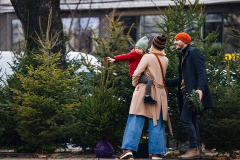 Echt, duftend, unkompliziert Sieben Tipps, wie sich ein natürlicher Weihnachtsbaum genießen lässt