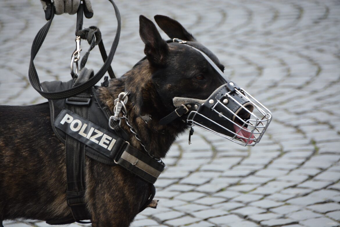 Hagen-Emst: Erfolgreicher Einsatz: Diensthund stellt Mann nach Bedrohung