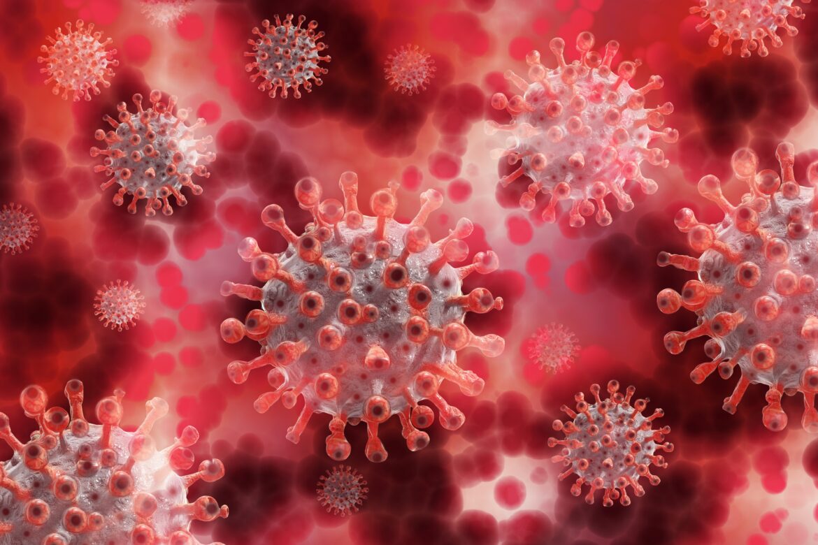 Shamonda-Virus erstmals im Ennepe-Ruhr-Kreis nachgewiesen