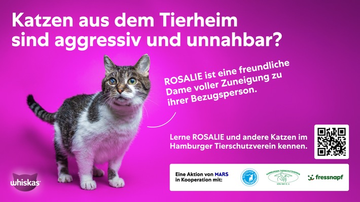 Mars-Studie: Unsicherheiten bremsen Tieradoptionen – Hamburger Kampagne schafft Orientierung