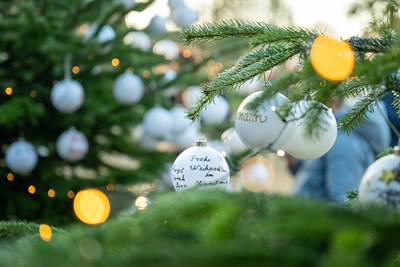 Bocholt: Festliches Gedenken: Weihnachtsbaum-Aktion lädt wieder zum gemeinsamen Schmücken ein