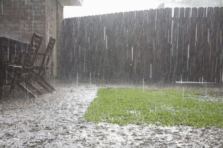Das Grundstück als Schwamm – So wird der Garten zum Regenwasserspeicher