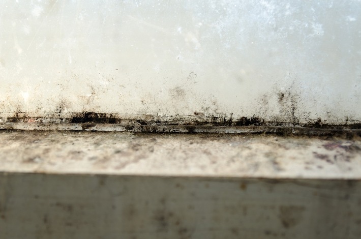 Heizen, lüften, Schimmel verhindern