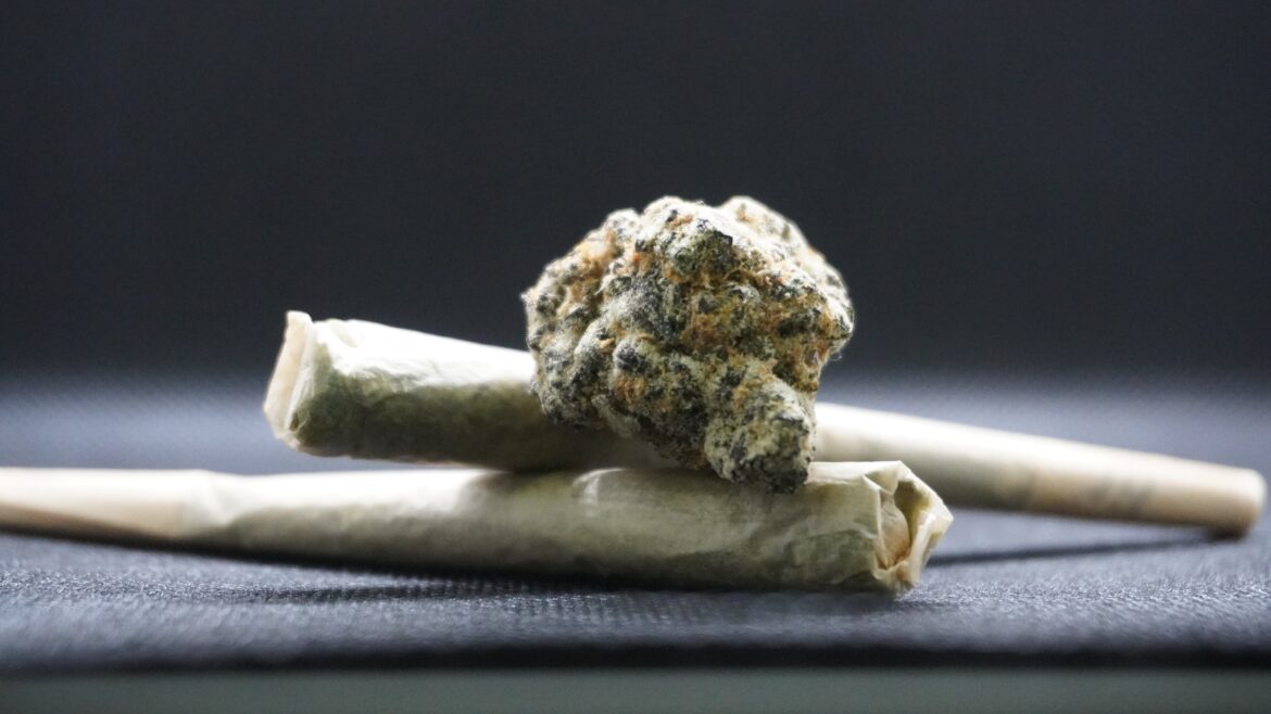 Werdohl: Illegale Cannabis-Plantage stillgelegt